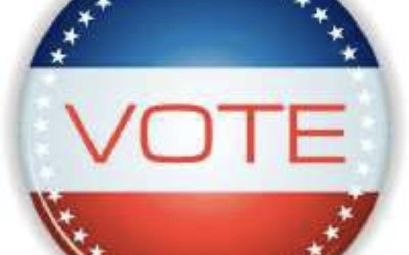 Primary Election Day is March 3