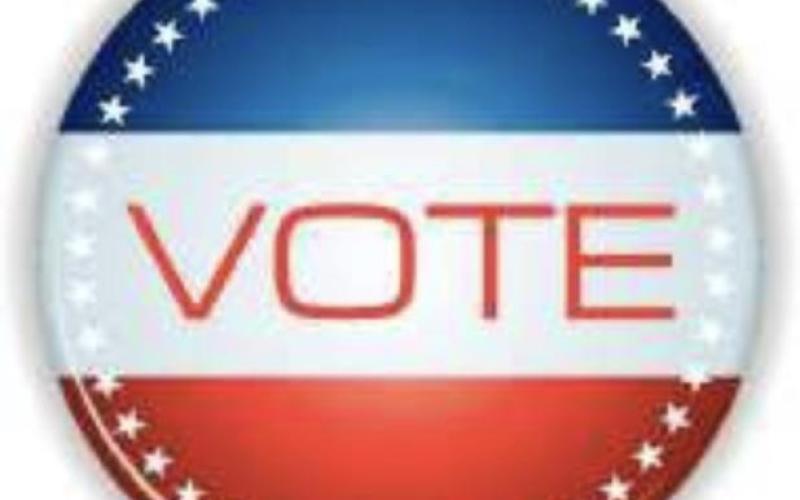 March 3 primary