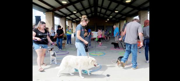 CCLP/BRITTANY FHOLER - Dogs and their owners walked around in a circle for a Cakewalk at the 3rd annual Pawzapalooza Paws and Bras held Saturday afternoon at Ogletree Gap.