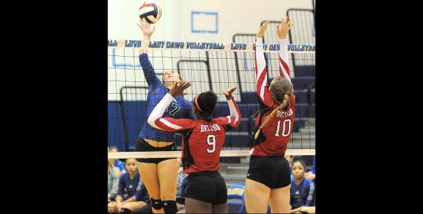 CCLP/LEE LETZER - Cove senior Brianna Acker hits for a kill against Belton junior Elicia Jackson and sophomore Kamryn Madden during the Lady Dawgs sweep of Belton on Friday. The Lady Dawgs improved to 23-11 and 3-0 in District 8-6A play. The Lady Dawgs travel to Waco to face the no. 1 ranked Midway Pantherettes.