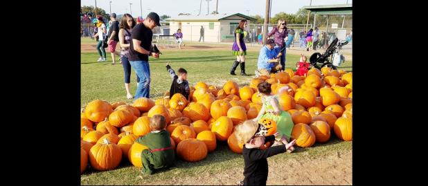 CCLP/PAMELA GRANT - Children pick out pumpkins at the Copperas Cove Fall-O-Ween Festival in City Park.