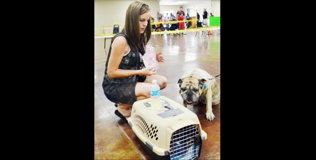 File Photo - Pet owners are welcome to bring their pets for yearly vaccination to a clinic to be held Wednesday at the Copperas Cove Civic Center.