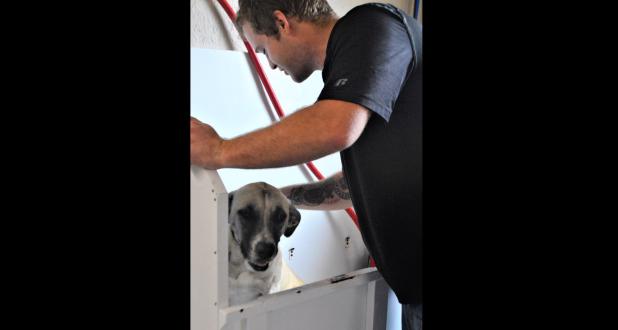 CCLP/LYNETTE SOWELL - Sasha, one of the dogs from the Copperas Cove Animal Shelter, gets a bath at Barking Oaks Pet Salon prior to the annual free adoption days two weeks ago. The dog grooming business gave all of the shelter’s adoptable animals a bath in preparation for December’s free pet adoption days at the shelter. In January 2017, the groomer is donating 10 percent of its $35 bath special to the shelter..