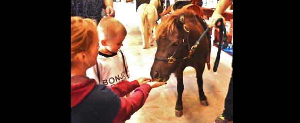 CCLP/LYNETTE SOWELL - Cove Feed & Seed held a harvest festival on Saturday, complete with a hay tunnel, games, pony rides, hot dogs and popcorn.