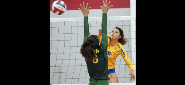 CCLP/TJ MAXWELL - Cove sophomore Aidan Chace had a game-high 17 kills to lead the Lady Dawgs to a 3-1 win over Desoto in the bi-district round of the 2016 UIL Region I-6A State Volleyball Championships. Chace missed the last four games of district play with a knee injury.