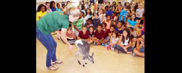 CCLP/DAVID J. HARDIN - Benjamin the red kangaroo from Australia jumps for the children at the Copperas Cove Public Library during the summer reading event Wild Things Zoofari, which was held last Thursday.