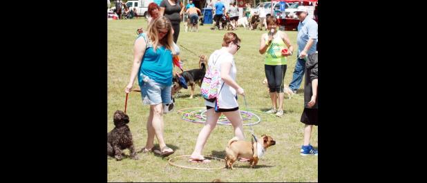 File Photo - Dogs and their owners participate in the Doggy Walk at the 2015 Pawzapalooza at Ogletree Gap. This year’s event is set for Sept. 24.