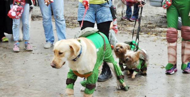 Courtesy Photo - Dogs and their owners dressed as the Ninja Turtles won the Howl-O-Ween Puppy Pawlooza costume contest last year. The 1-mile walk/fun run and costume contest kick off the day of activities including a swim in the city pool, a small dog race, dog demonstrations, obstacle course, and more.