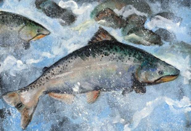 Tatyana Panchishna of Flower Mound won first place in grades K–3 of the Texas State-Fish Art Contest with an acrylic drawing of a king salmon.