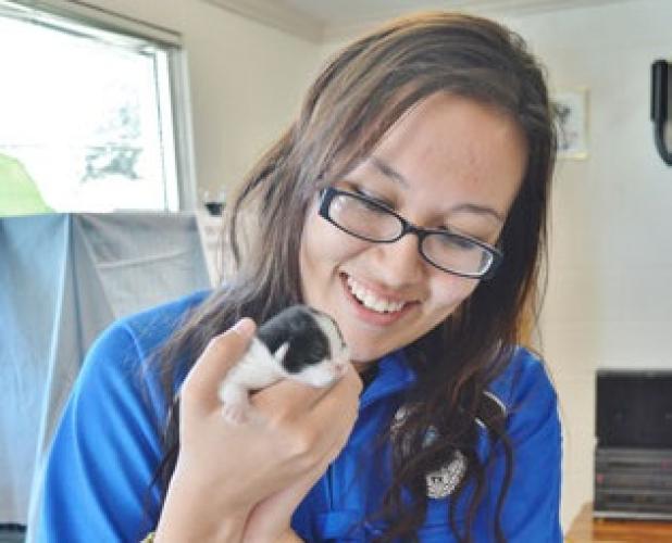 Animal control officer Aleea Best holds a newborn kitten being cared for at the animal shelter. The kitten and its mother will go to a foster home soon.