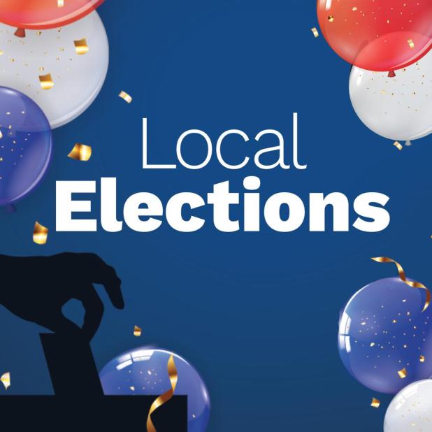 Local Nov. 3 elections