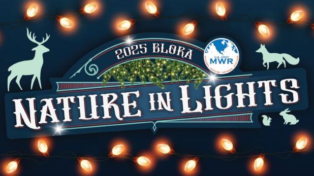 Nature In Lights is open through Dec. 31. at. BLORA.