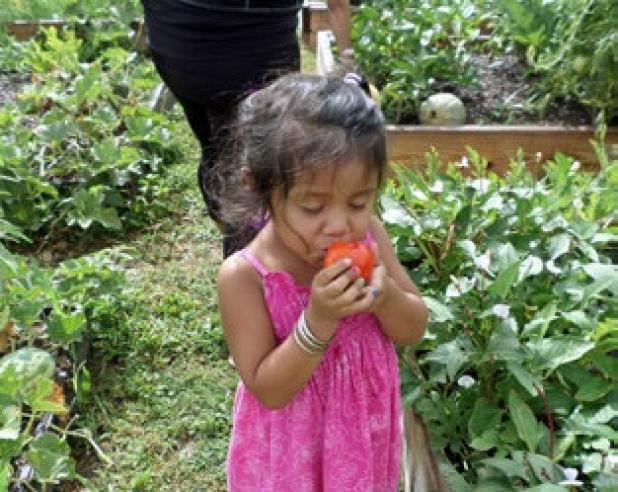 Kimberly Esparza’s face expresses her approval of the taste of tomatoes eaten right off the vine at a community garden project at the Alamo Community Center. Kimberly was with her mother, Erica Esparza of Alamo, who was checking on the family’s garden. Vegetable gardening classes will be held Aug. 11-14.