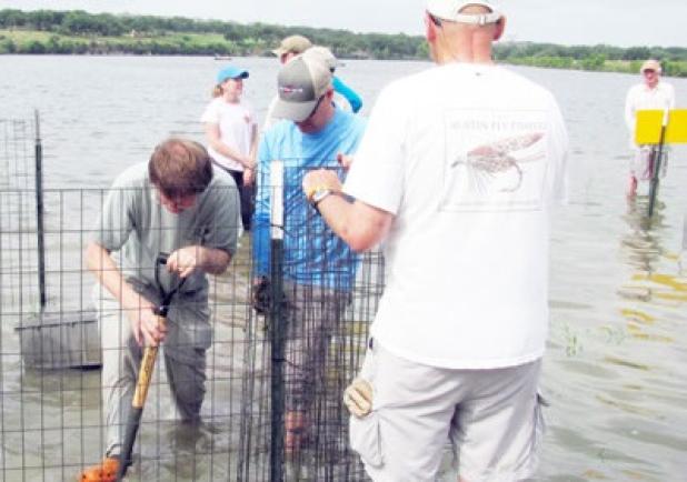 Volunteers from the Austin Fly Fishers worked with Texas Parks and Wildlife Department Inland Fisheries staff to plant aquatic vegetation into Cedar Park’s Brushy Creek Reservoir. The plants will provide fish habitat, stabilize sediment and improve water quality.