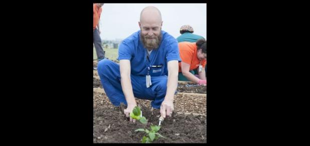 Metroplex nurse Grant Sitton plants a tomato plant for the vegetable gardening April 17.