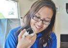 Animal control officer Aleea Best holds a newborn kitten being cared for at the animal shelter. The kitten and its mother will go to a foster home soon.